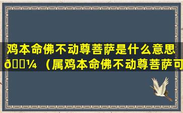 鸡本命佛不动尊菩萨是什么意思 🐼 （属鸡本命佛不动尊菩萨可以挂身上吗）